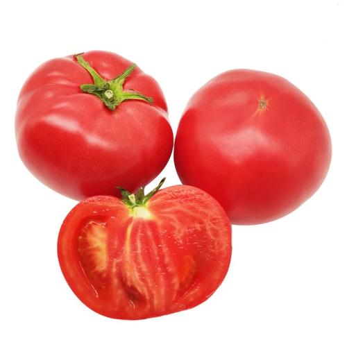 Tomato Drying Process